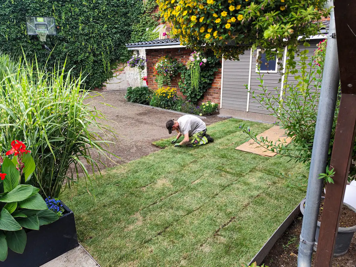 outdoor project GmbH – Anlegen von Rasenflächen