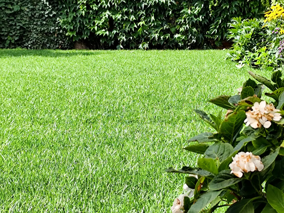 outdoor project GmbH – Verlegung von Rollrasen inkl. Vorbereitung des Bodens